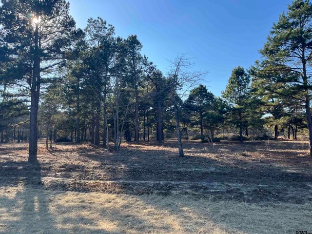 3135 Shadow Pine Drive, Larue, TX 75770