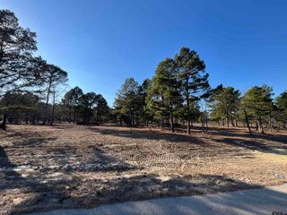 3135 Shadow Pine Drive, Larue, TX 75770