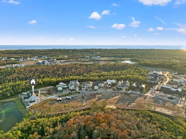 106 S Southern Cross Lane, Inlet Beach, FL 32461