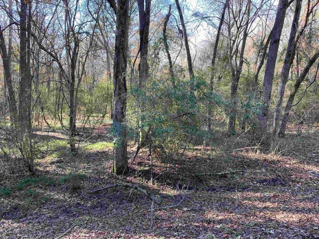 Lot 11 Carene, Frankston, TX 75763