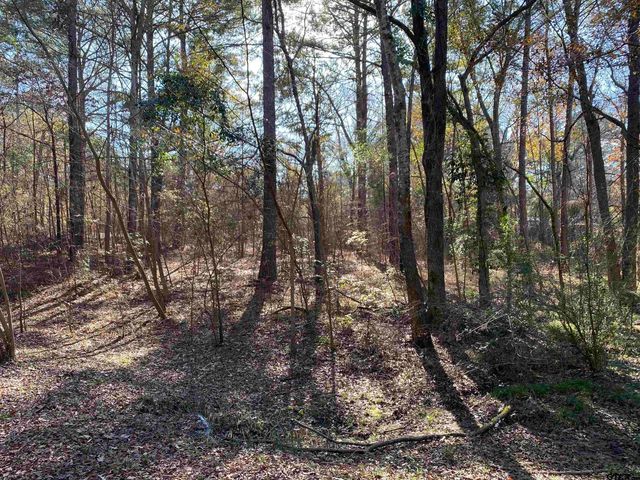 Lot 11 Carene, Frankston, TX 75763