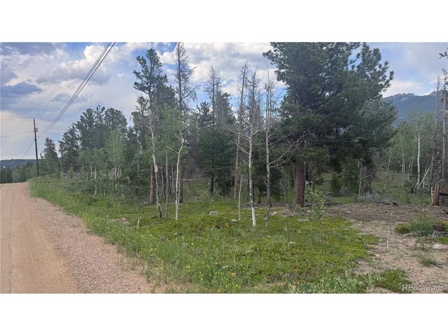 29 Lodge Pole Dr, Black Hawk, CO 80422