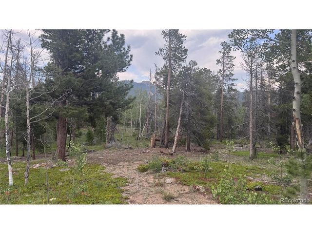 29 Lodge Pole Dr, Black Hawk, CO 80422