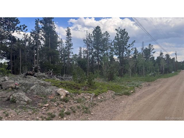 29 Lodge Pole Dr, Black Hawk, CO 80422