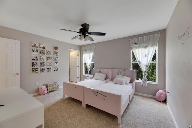9010 GRAND BAYOU COURT, Tampa, FL 33635
