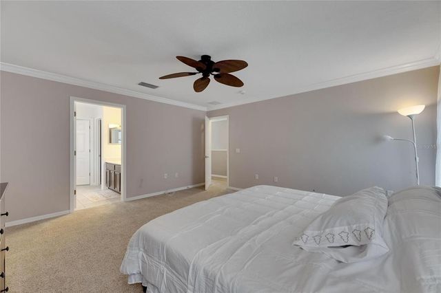 9010 GRAND BAYOU COURT, Tampa, FL 33635