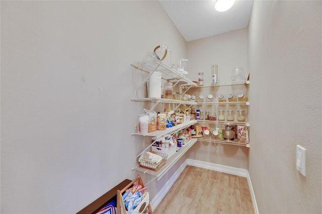 9010 GRAND BAYOU COURT, Tampa, FL 33635