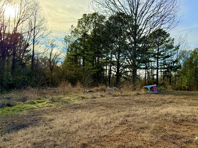 748 Old McKenzie Hwy, Paris, TN 38242