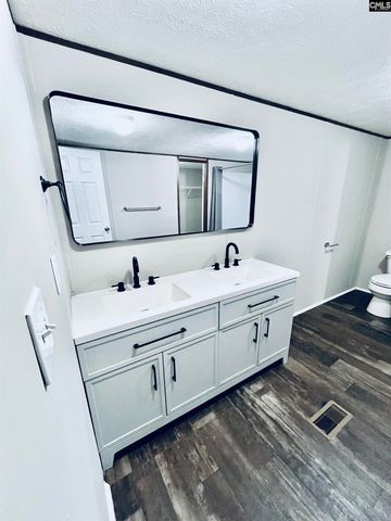 491 Sandy Springs Lane, Lexington, SC 29073