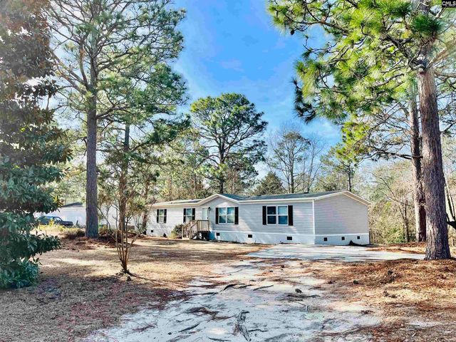 491 Sandy Springs Lane, Lexington, SC 29073