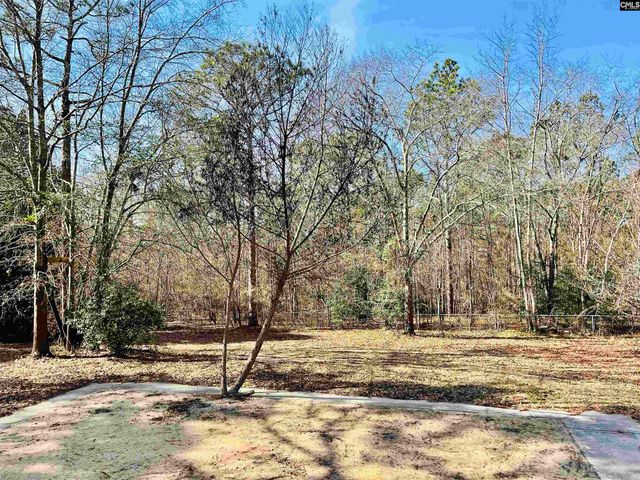 491 Sandy Springs Lane, Lexington, SC 29073