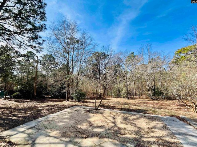 491 Sandy Springs Lane, Lexington, SC 29073
