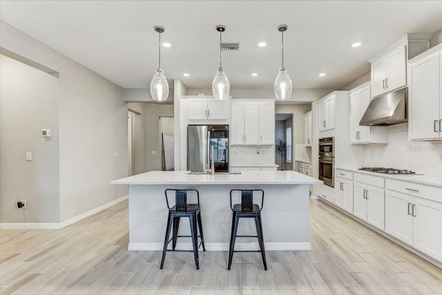 33886 LANDSMAN LOOP, Wesley Chapel, FL 33543
