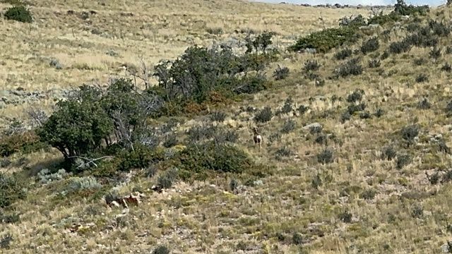 37 KENT RD, Wanship, UT 84017