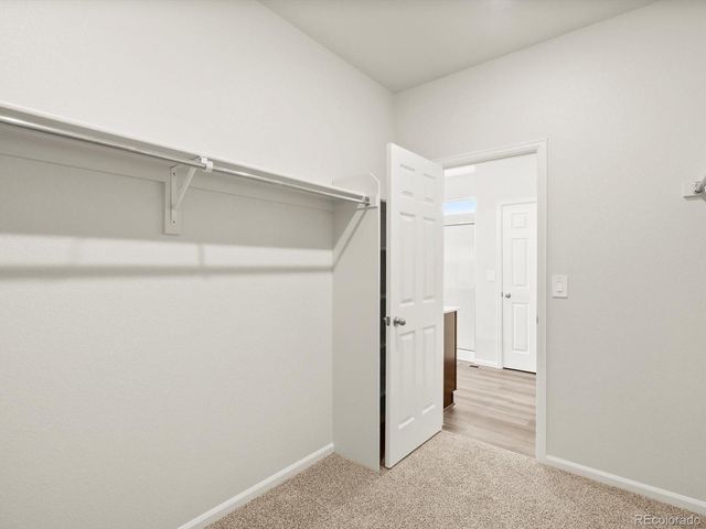 1597 Colorado River Drive, Windsor, CO 80550