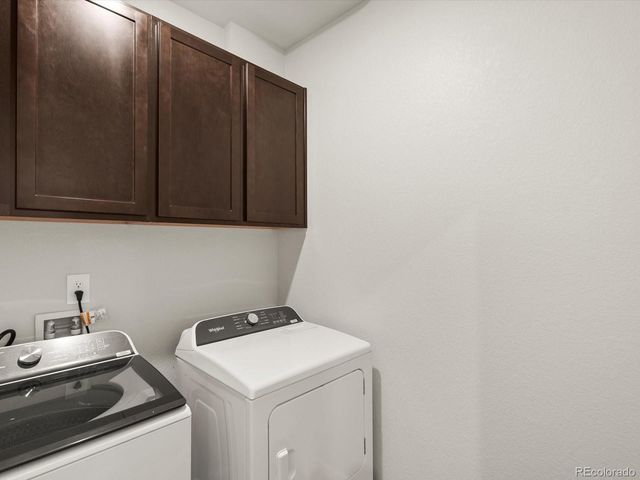 1597 Colorado River Drive, Windsor, CO 80550