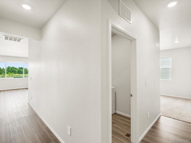 1597 Colorado River Drive, Windsor, CO 80550