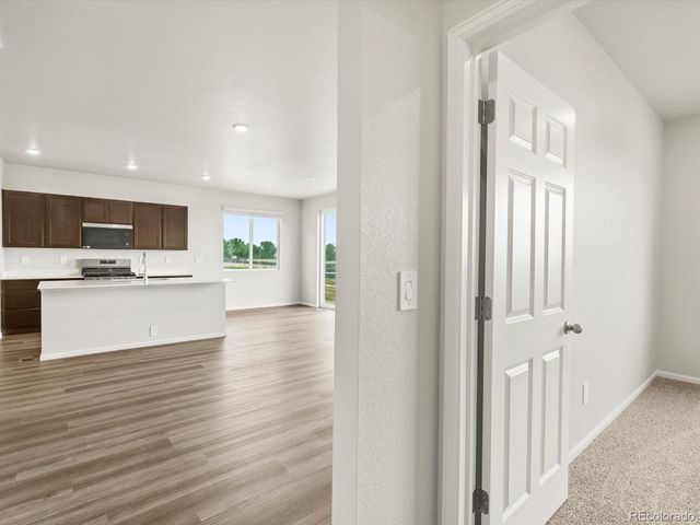 1597 Colorado River Drive, Windsor, CO 80550