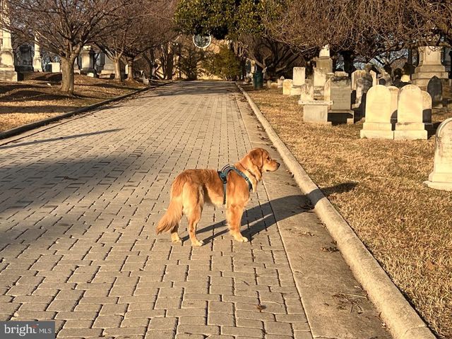 1237 POTOMAC AVE SE, Washington, DC 20003