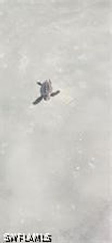 1 Bluebill AVE 707, Naples, FL 34108