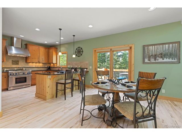 294 Mine Dump Rd, Fairplay, CO 80440