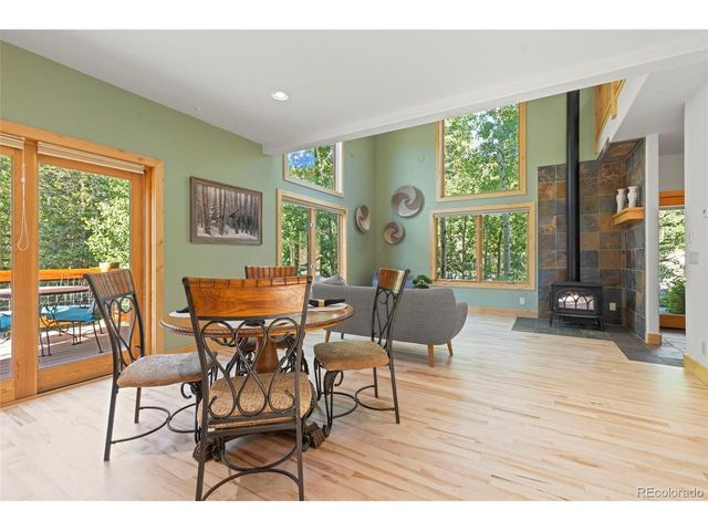 294 Mine Dump Rd, Fairplay, CO 80440