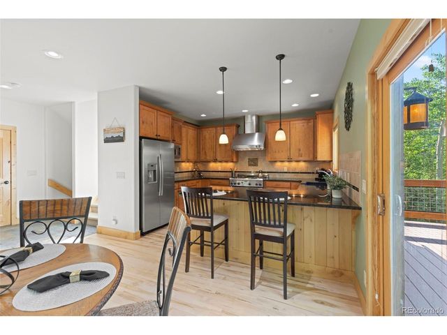 294 Mine Dump Rd, Fairplay, CO 80440