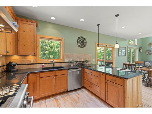 294 Mine Dump Rd, Fairplay, CO 80440