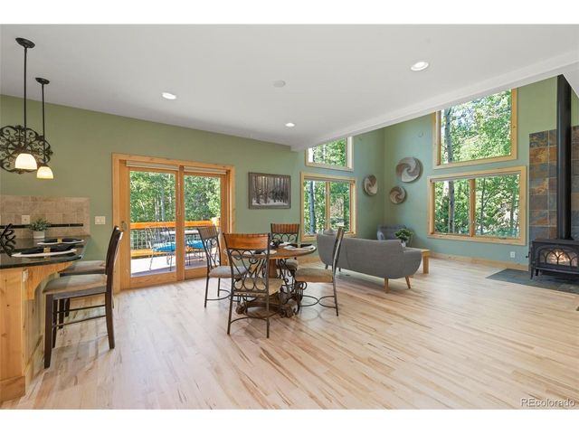 294 Mine Dump Rd, Fairplay, CO 80440