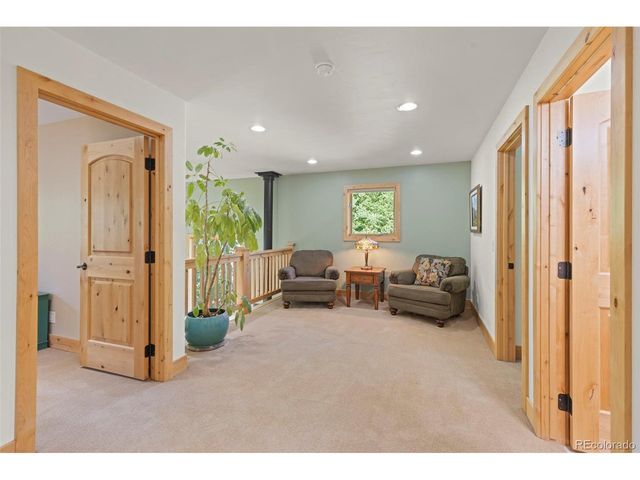 294 Mine Dump Rd, Fairplay, CO 80440