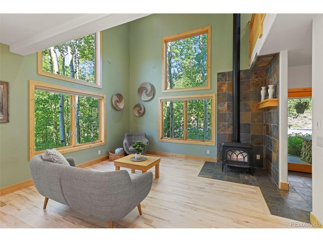 294 Mine Dump Rd, Fairplay, CO 80440