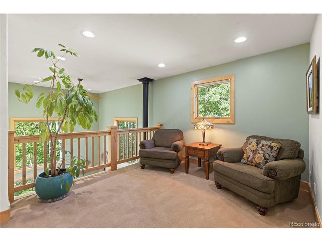 294 Mine Dump Rd, Fairplay, CO 80440