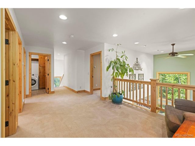 294 Mine Dump Rd, Fairplay, CO 80440