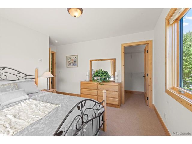 294 Mine Dump Rd, Fairplay, CO 80440