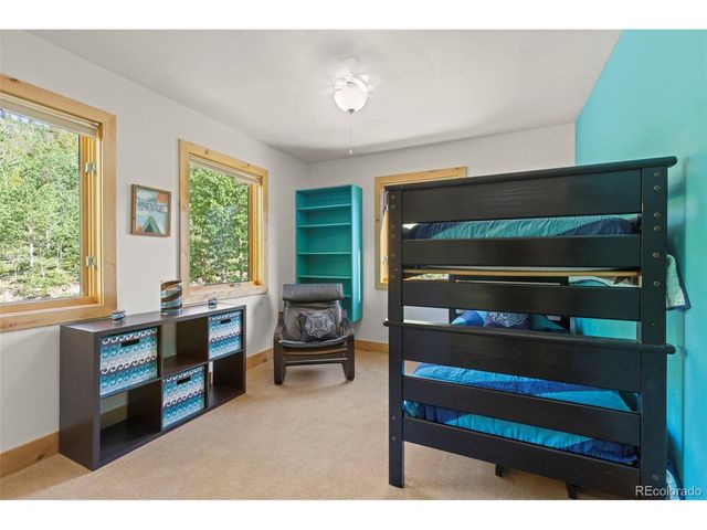 294 Mine Dump Rd, Fairplay, CO 80440