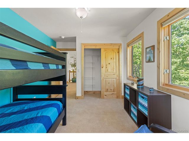 294 Mine Dump Rd, Fairplay, CO 80440