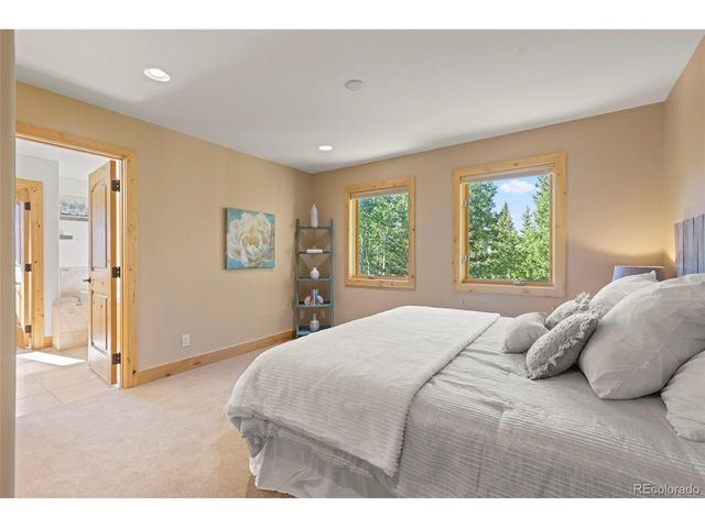 294 Mine Dump Rd, Fairplay, CO 80440