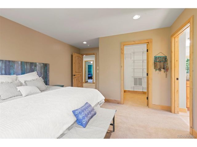 294 Mine Dump Rd, Fairplay, CO 80440