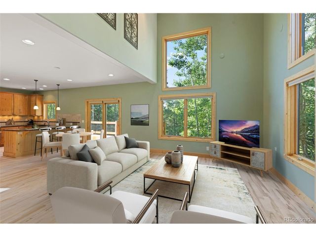 294 Mine Dump Rd, Fairplay, CO 80440