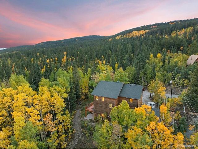 294 Mine Dump Rd, Fairplay, CO 80440