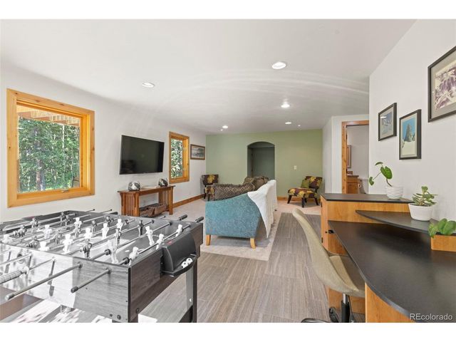 294 Mine Dump Rd, Fairplay, CO 80440