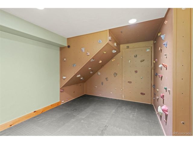 294 Mine Dump Rd, Fairplay, CO 80440