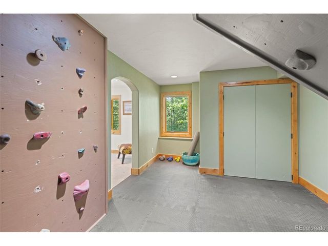 294 Mine Dump Rd, Fairplay, CO 80440