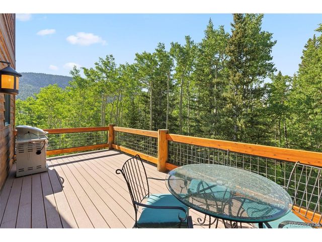 294 Mine Dump Rd, Fairplay, CO 80440