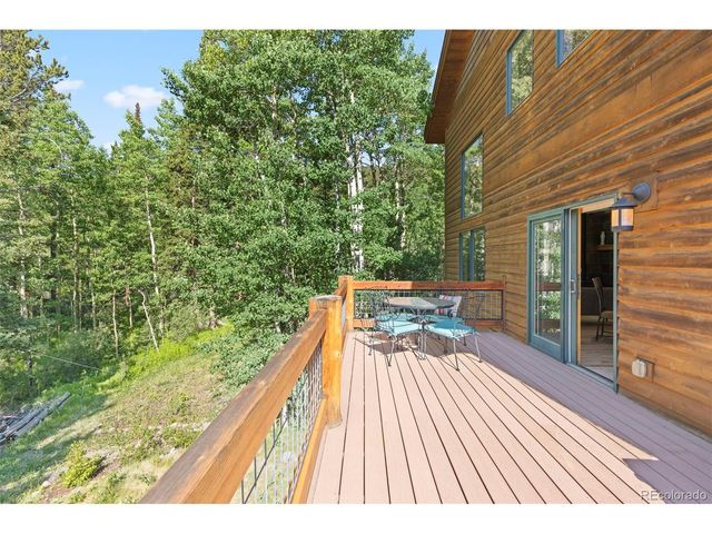 294 Mine Dump Rd, Fairplay, CO 80440