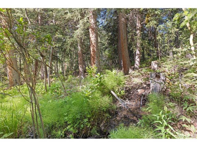 294 Mine Dump Rd, Fairplay, CO 80440