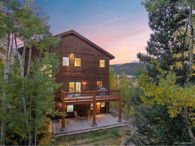 294 Mine Dump Rd, Fairplay, CO 80440