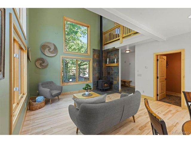 294 Mine Dump Rd, Fairplay, CO 80440