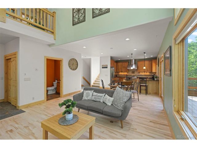 294 Mine Dump Rd, Fairplay, CO 80440