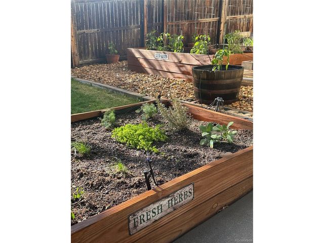 7364 W 98th Pl, Westminster, CO 80021